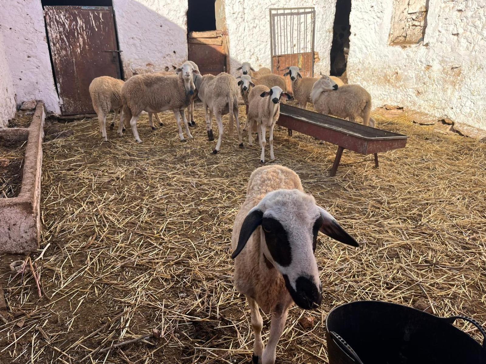 Khaima Oulad Abbou Exterior photo